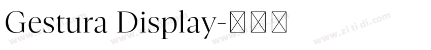 Gestura Display字体转换 Gestura Display字体转换